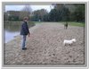 honden00106