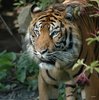 sized_DSC_0025_