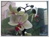 dscf2859