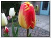 dscf2947
