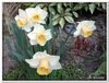 dscf2924