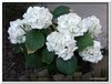 dscf2925