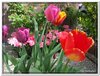 dscf2963