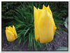 dscf2951