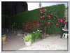 bloem00335