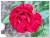 dscf3163