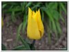 dscf2937