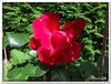 dscf1934