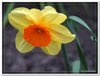 dscf2939