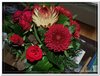 bloem00430