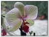 dscf2858