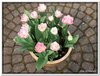 bloem00072