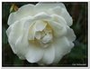dscf1897