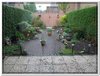bloem00383