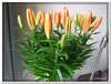 dscf2860