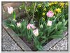 dscf2919