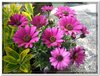 dscf2957