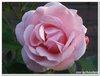 dscf3215