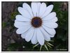 dscf2971