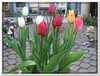 dscf2953