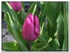 dscf2920