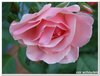 dscf3216
