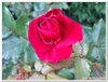 dscf3206