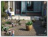 bloem00360