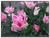 dscf2949