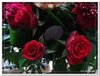 bloem00429