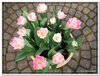 bloem00375