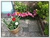 dscf2964