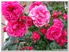 dscf3205