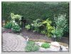dscf1828