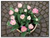 bloem00069