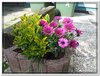 dscf2956
