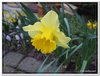 dscf2927