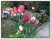 dscf2955