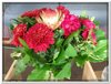 bloem00442