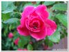 dscf3232