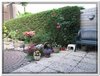 bloem00312