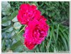 dscf3225