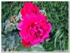 dscf3207