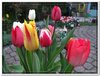 dscf2946