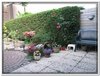 bloem00008