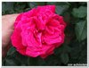 dscf3170