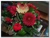 bloem00126