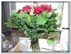 bloem00130