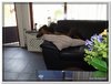 bloem00547
