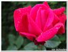 dscf3171